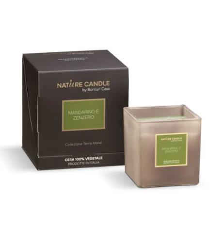 CANDELA CERA 180GR MANDARINO/ZENZERO "TERRA MATER"