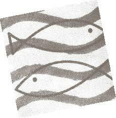 TOVAGLIOLO TNT 40X40FISH TORTORA CF=50PZ