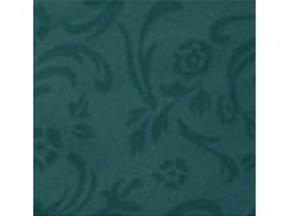 TOVAGLIOLO TNT 40X40DRY VERDE SCURO CF=50PZ