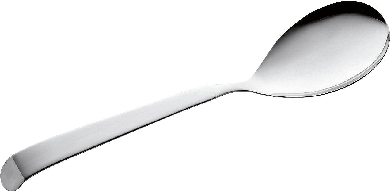 CUCCHIAIONE MULTIUSOASTRA 30CM