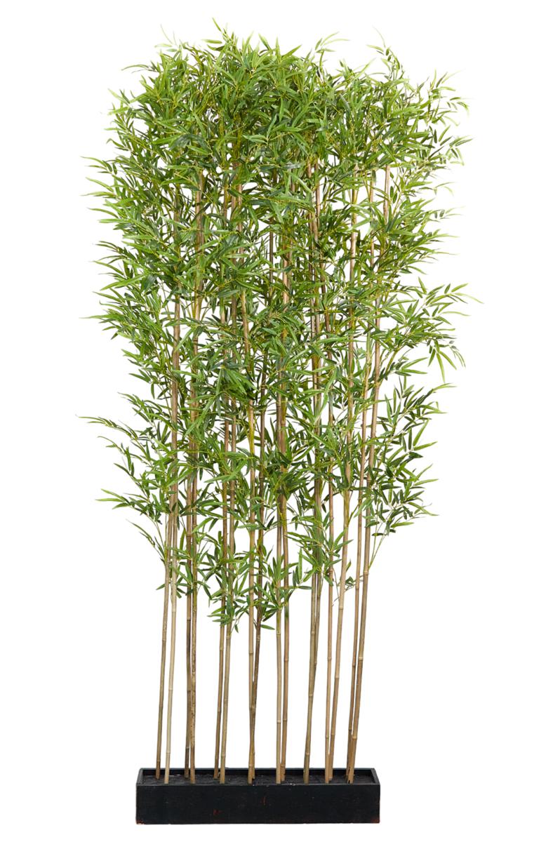 SEPARE BAMBOO CM.74x14x240