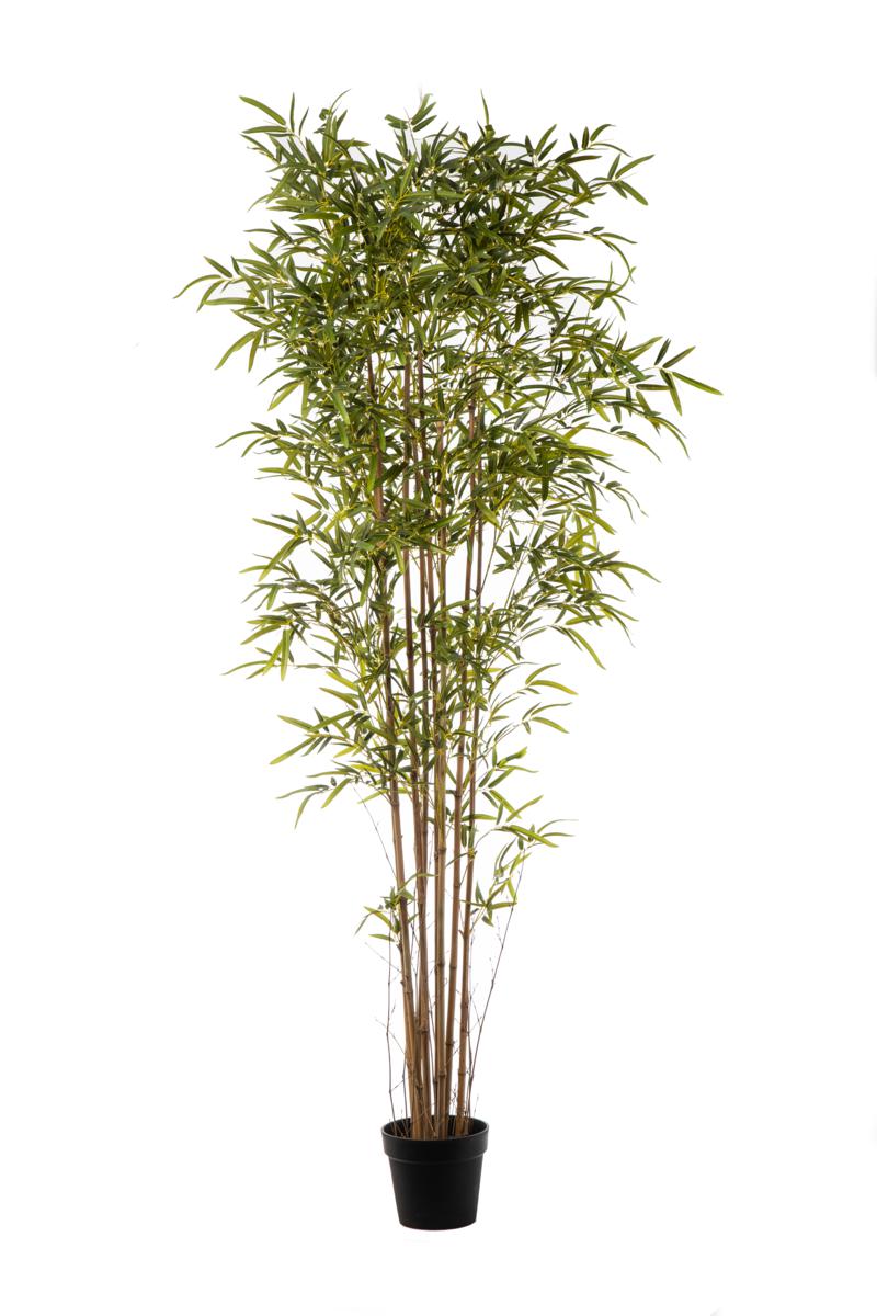 PIANTA BAMBOO 3130 FOGLIE CM 210