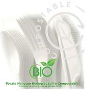 BIS POSATE FORCHETTA+COLTELLO+TOV "BIO-PLA" CT=250PZ