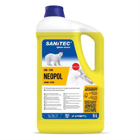 LAVAPIATTI GEL AGRUMI DI SICILIA C/ANTIBATTERICO 5KG