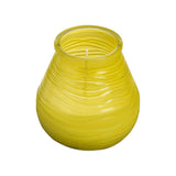 PATIOLIGHT CITRONELLA CANDELA CON VASETTO IN VETRO