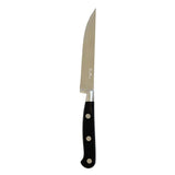 COLTELLO BISTECCA PINTINOX PROFESSIONALE