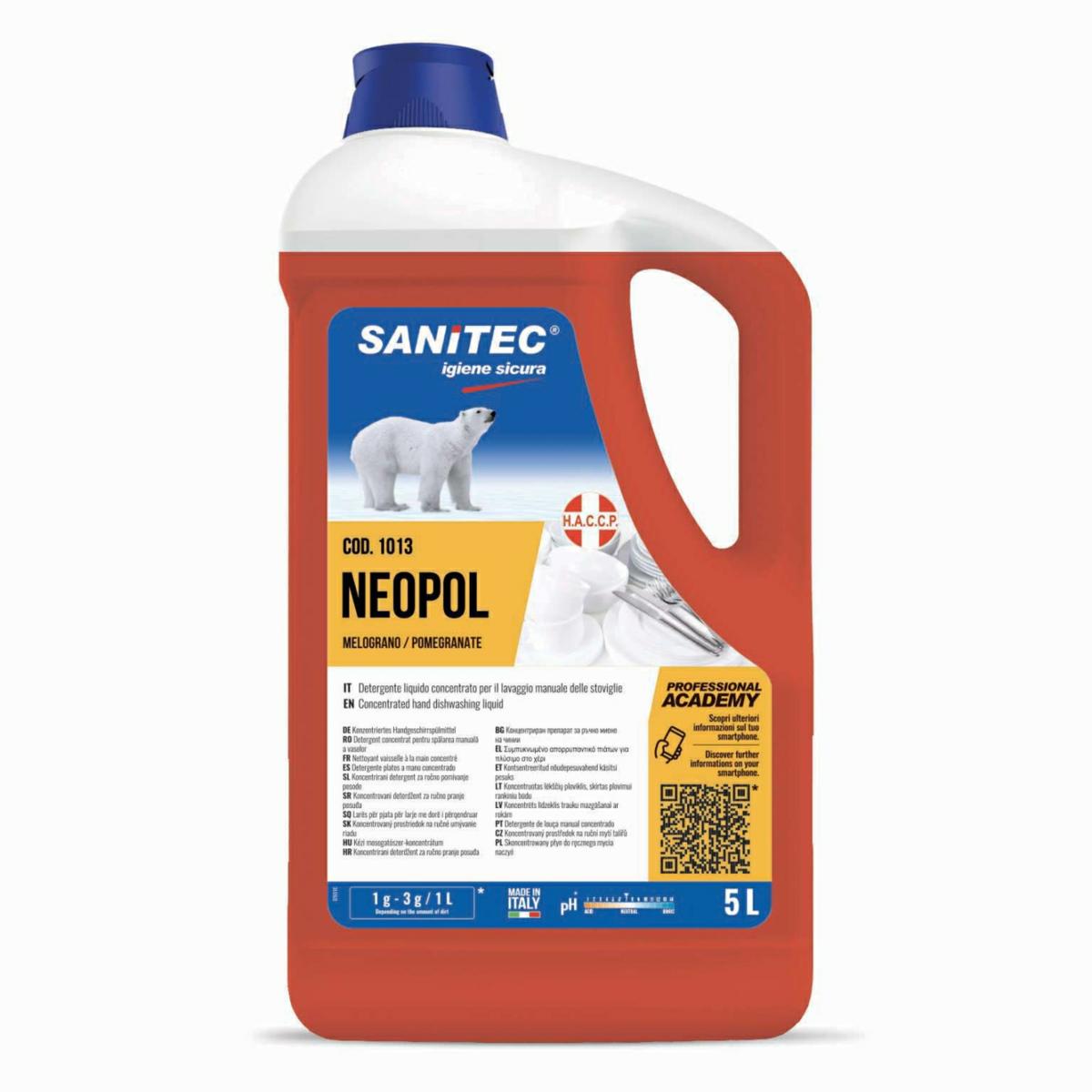 LAVAPIATTI GEL C/ANTIBATTERICO "NEOPOL" ALOE E MELOGRANO 5KG