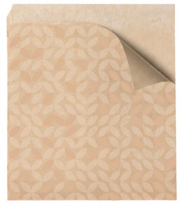 CARTA ANTIGRASSO APERTO 2 LATI 16x16,5 CM  CF500PZ