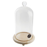 CLOCHE PER AFFUMICATORE VETRO/LEGNO