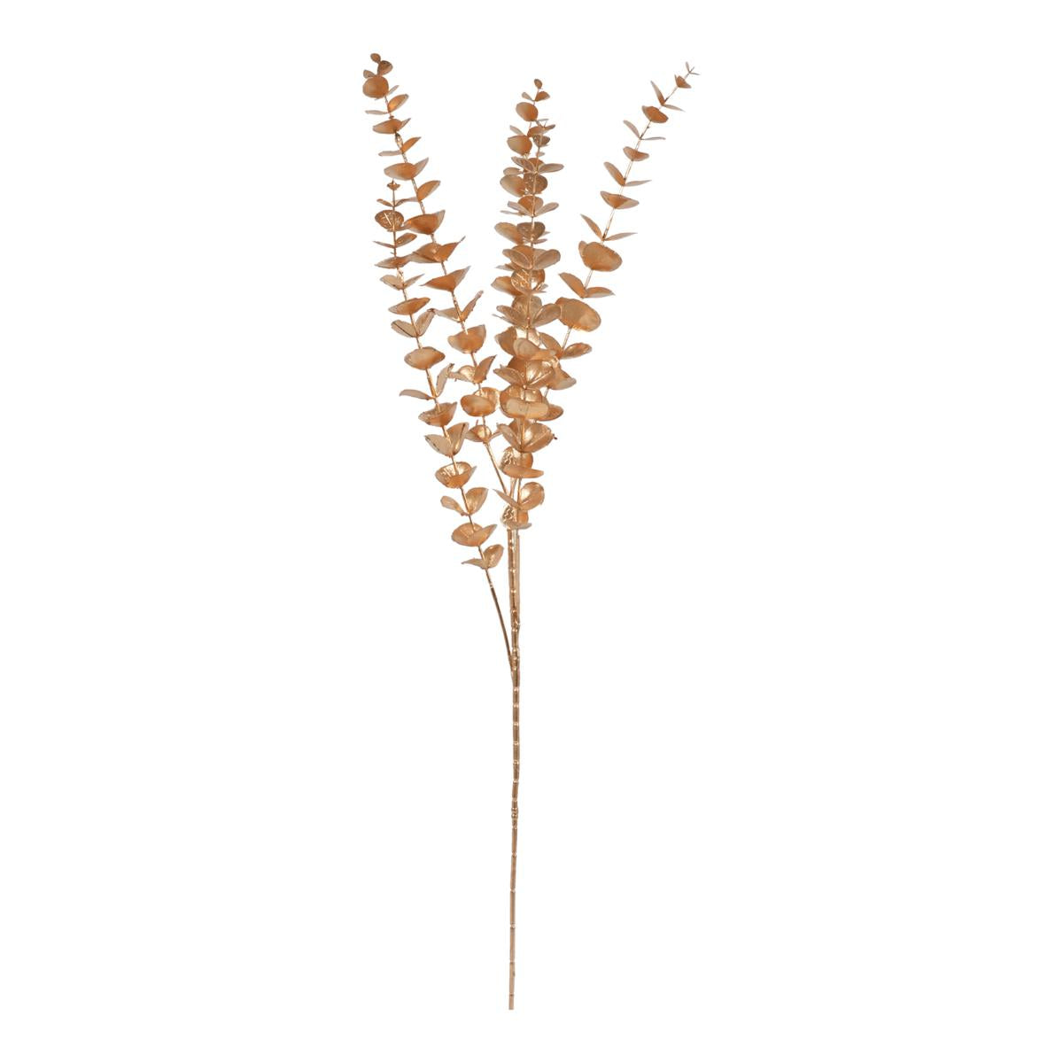 RAMO EUCALYPTO X 5 CM 85