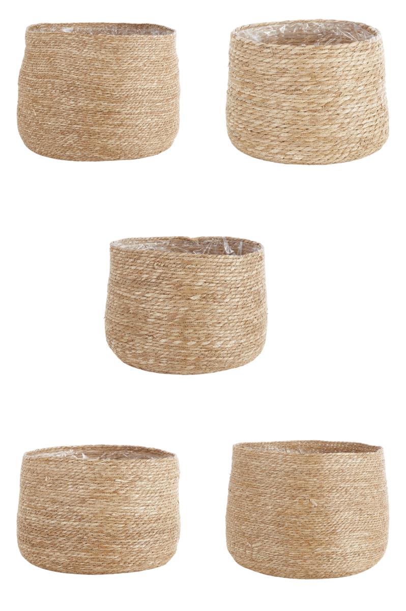 SET 5 CESTI (M.G ø CM.60 H.C  M.47)