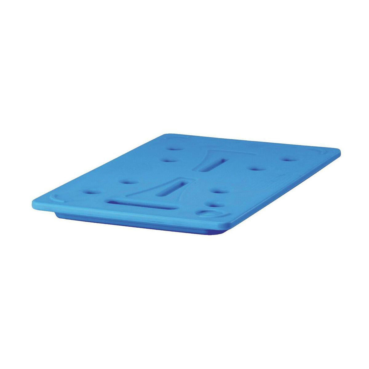 PIASTRA EUTETTICA COLD PLATE 1/1 PLASTICA