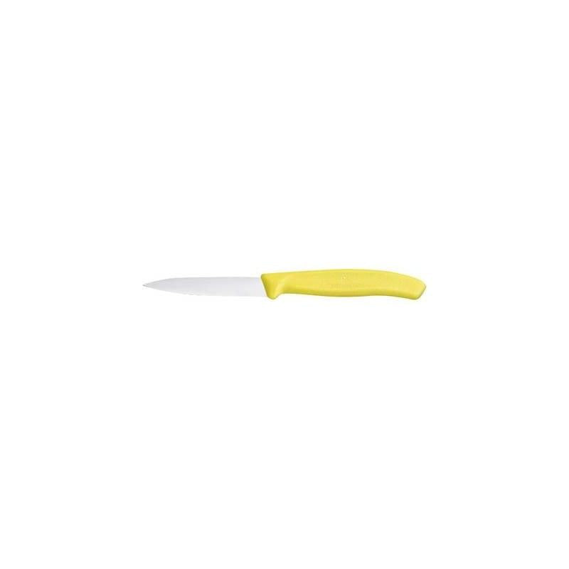SPELUCCHINO CLASSIC GIALLO