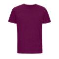 T-SHIRT UNISEX MANICA CORTA MOD.LEGEND COLORE VIOLA
