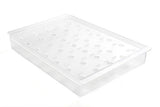 ESPOSITORE FORATO PER CONI 235X360 H48MM POLISTIRENE
