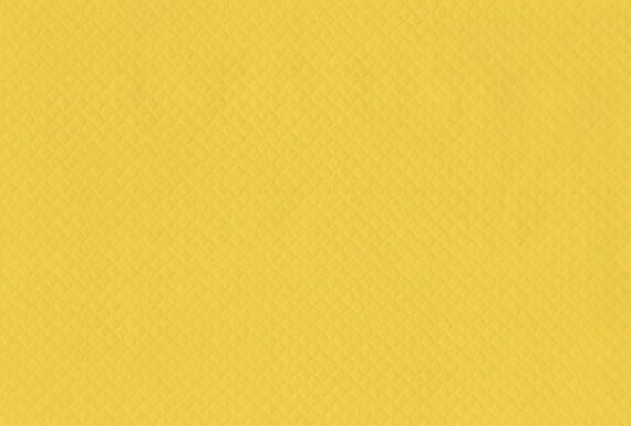 TOVAGLIETTA 30X40 GIALLO CARTA CF=250PZ