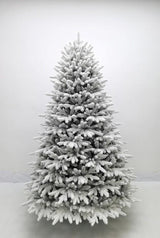 ALBERO HARVARD SNOW CM 240