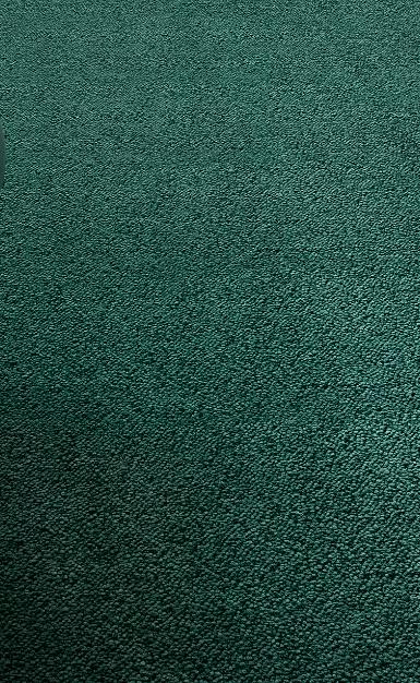 TAPPETO MOQUETTE MUSA H200 COL.42 VERDE