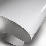 CARTA BIANCA 25X37CMARGENTE' CT=10KG